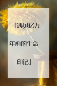 遇见亿万年前的生命印记