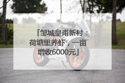 邹城皇甫新村：荷塘里养虾，一亩增收6000元