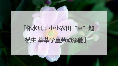 邻水县：小小农田“豆”趣横生 莘莘学童劳动添能