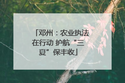 邓州：农业执法在行动 护航“三夏”保丰收