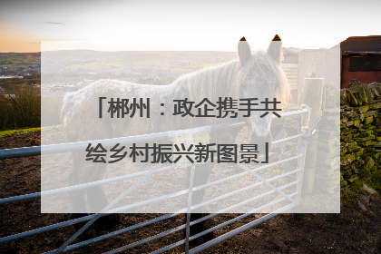 郴州：政企携手共绘乡村振兴新图景