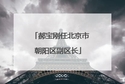 郝宝刚任北京市朝阳区副区长