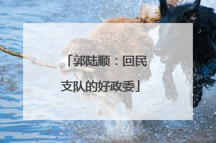 郭陆顺：回民支队的好政委