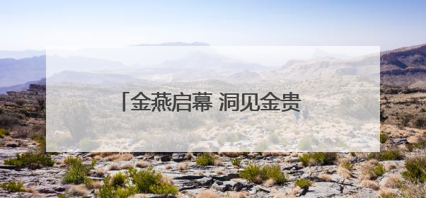 金燕启幕 洞见金贵 SCOTCH 燕窝中国新品发布会盛大举行