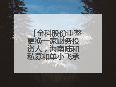 金科股份重整更换一家财务投资人，海南陆和私募和单小飞承接其投资额度