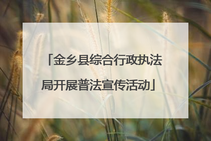 金乡县综合行政执法局开展普法宣传活动
