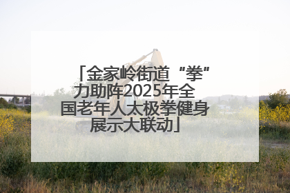 金家岭街道“拳”力助阵2025年全国老年人太极拳健身展示大联动