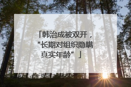 韩治成被双开，“长期对组织隐瞒真实年龄”