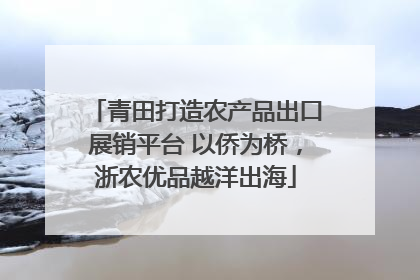 青田打造农产品出口展销平台 以侨为桥，浙农优品越洋出海