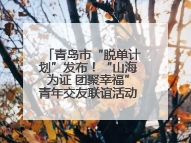 青岛市“脱单计划”发布！“山海为证 团聚幸福”青年交友联谊活动浪漫开启