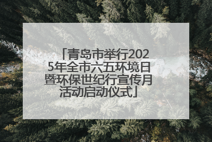 青岛市举行2025年全市六五环境日暨环保世纪行宣传月活动启动仪式