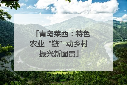 青岛莱西：特色农业“链”动乡村振兴新图景