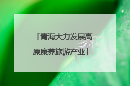 青海大力发展高原康养旅游产业