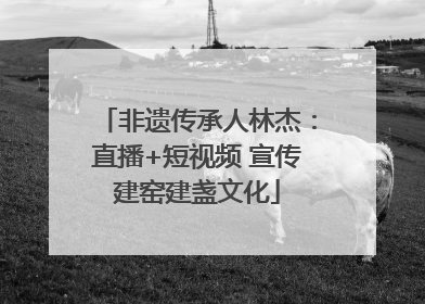 非遗传承人林杰：直播+短视频 宣传建窑建盏文化