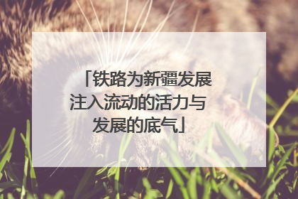 铁路为新疆发展注入流动的活力与发展的底气
