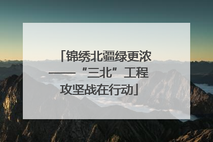 锦绣北疆绿更浓——“三北”工程攻坚战在行动