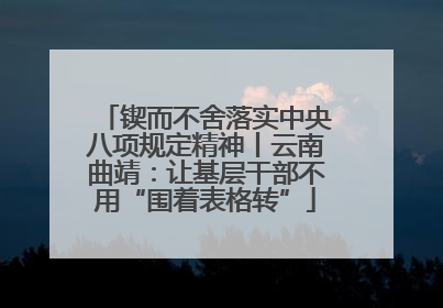 锲而不舍落实中央八项规定精神丨云南曲靖：让基层干部不用“围着表格转”