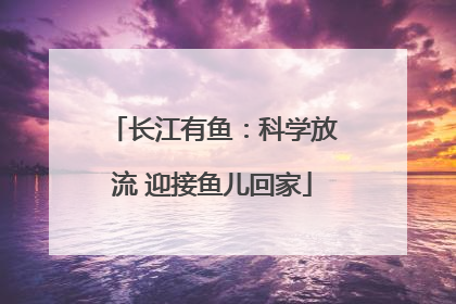 长江有鱼：科学放流 迎接鱼儿回家