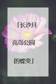 长沙月亮岛公园的蝶变