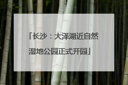 长沙：大泽湖近自然湿地公园正式开园