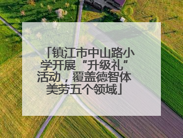 镇江市中山路小学开展“升级礼”活动，覆盖德智体美劳五个领域