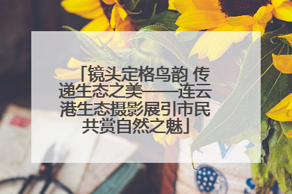 镜头定格鸟韵 传递生态之美——连云港生态摄影展引市民共赏自然之魅