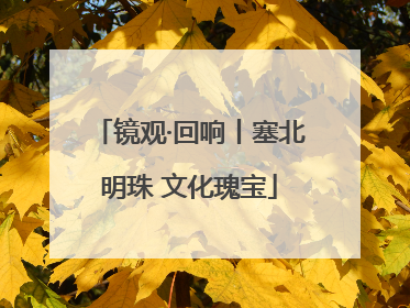镜观·回响丨塞北明珠 文化瑰宝