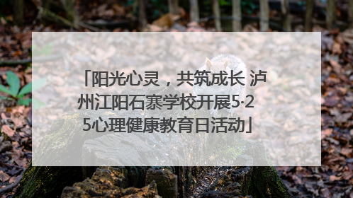 阳光心灵，共筑成长 泸州江阳石寨学校开展5·25心理健康教育日活动