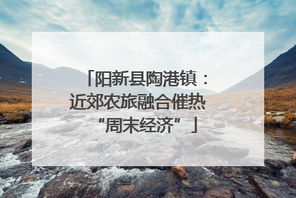 阳新县陶港镇：近郊农旅融合催热“周末经济”