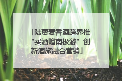 陆贾麦香酒跨界推“买酒赠南极游”创新酒旅融合营销