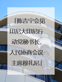 陈吉宁会见印尼大印尼行动党秘书长、人民协商会议主席穆扎尼