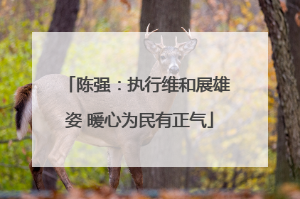 陈强：执行维和展雄姿 暖心为民有正气