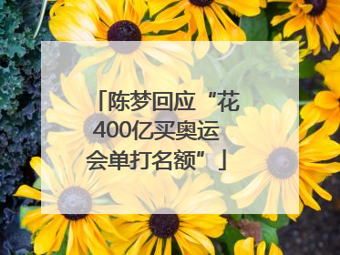 陈梦回应“花400亿买奥运会单打名额”