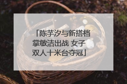 陈芋汐与新搭档掌敏洁出战 女子双人十米台夺冠