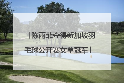 陈雨菲夺得新加坡羽毛球公开赛女单冠军
