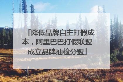 降低品牌自主打假成本，阿里巴巴打假联盟成立品牌抽检分盟