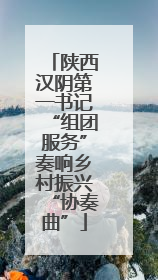 陕西汉阴第一书记“组团服务”奏响乡村振兴“协奏曲”