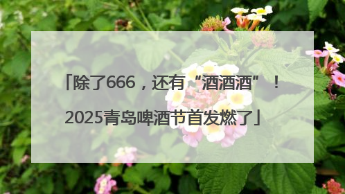 除了666，还有“酒酒酒”！2025青岛啤酒节首发燃了