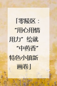 零陵区：“用心用情用力”绘就“中药香”特色小镇新画卷