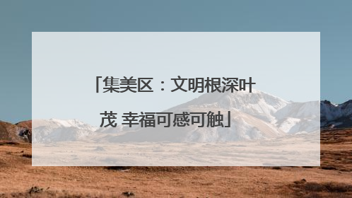 集美区：文明根深叶茂 幸福可感可触