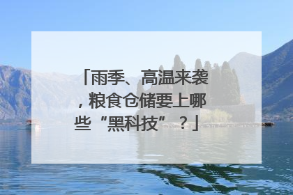 雨季、高温来袭，粮食仓储要上哪些“黑科技”？