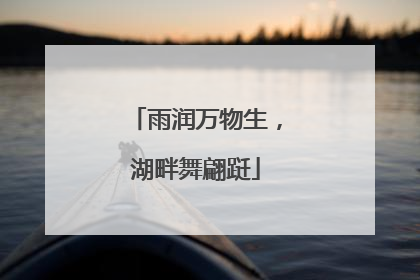 雨润万物生，湖畔舞翩跹