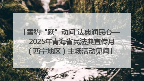 雪豹“跃”动间 法典润民心——2025年青海省民法典宣传月（西宁地区）主场活动见闻