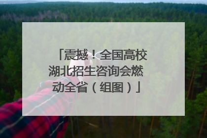 震撼！全国高校湖北招生咨询会燃动全省（组图）