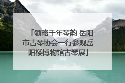 领略千年琴韵 岳阳市古琴协会一行参观岳阳楼博物馆古琴展