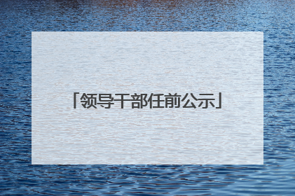 领导干部任前公示