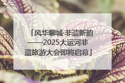 风华聊城·非遗新韵——2025大运河非遗旅游大会即将启幕