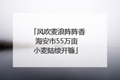 风吹麦浪阵阵香 海安市55万亩小麦陆续开镰