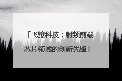 飞骧科技：射频前端芯片领域的创新先锋