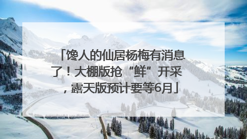 馋人的仙居杨梅有消息了！大棚版抢“鲜”开采，露天版预计要等6月